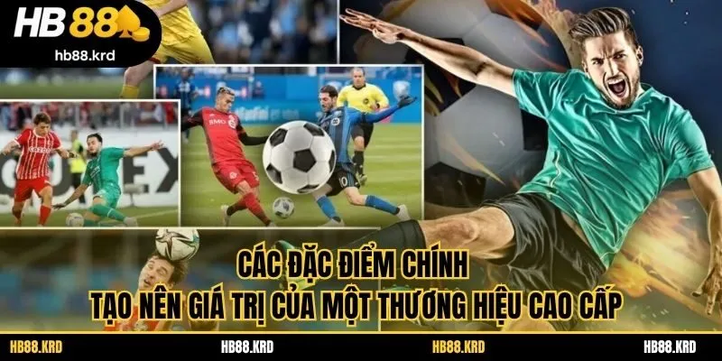 Các đặc điểm chính tạo nên giá trị của một thương hiệu cao cấp