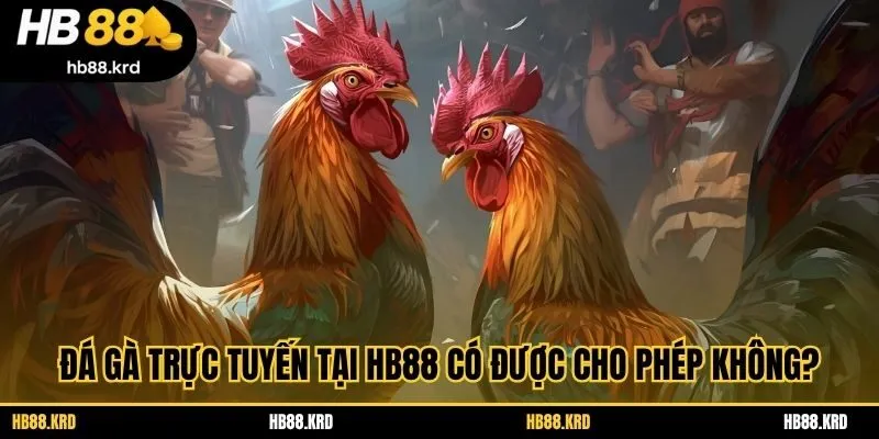 Đá gà trực tuyến tại HB88 có được cho phép không?