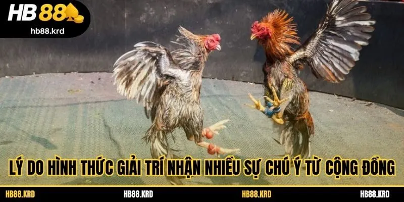 Lý do hình thức giải trí nhận nhiều sự chú ý từ cộng đồng